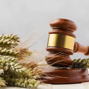 Pensión Alimenticia en Panamá: Aspectos Jurídicos y Procedimentales