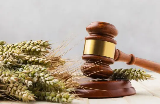 Pensión Alimenticia en Panamá: Aspectos Jurídicos y Procedimentales