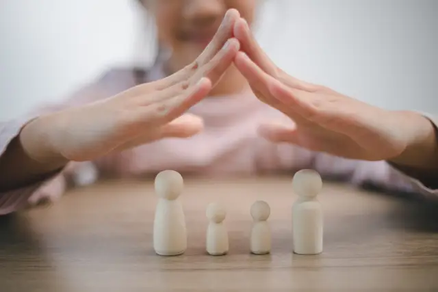 Guarda Crianza y Reglamentacion de Visitas